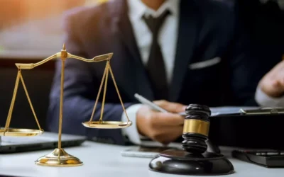 Isparta v Richter and another 22452-12-2013 Zagpphc 243-4-september-2013