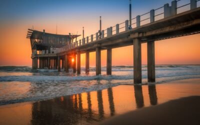 AMAL Organisational Structure